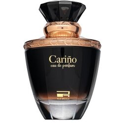 Rue Broca Carino parfumirana voda za moške 100 ml Cene