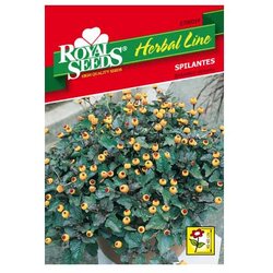 ROYAL SEEDS Sjeme začina HERBAL LINE 54 SPILANTES Cene