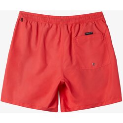 Quiksilver Boys' shorts swimsuit EVERYDAY VERT VOLLEY Cijene