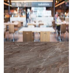 ISOWOOD Kuhinjska radna ploča 4100x600x40mm 4243 VS Cene