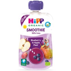Hipp BIO SMOOTHIE BOROVNICA 120 ML NOVO Cene