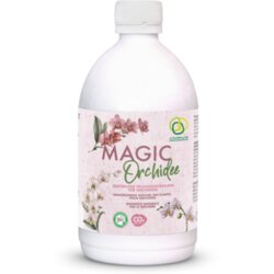 Magic Orchid Cene