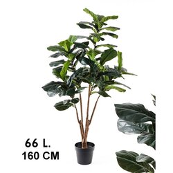 Lilium stablo fikus, 66 listova, visina 160 cm 567339 Cene