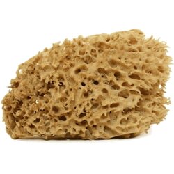 Cose della Natura Honeycomb - prirodna spužva - Srednje, 8-10 g Cene