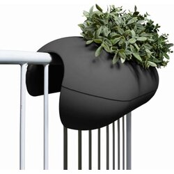 rephorm Balkonsko korito Balconismo Cene