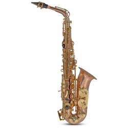 Roy Benson Eb-Alt Saksofon AS-202G - Audio-Kondric Cene