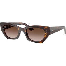 Ray-ban RB4430 135913 L (52) Havana/Rjava Cene