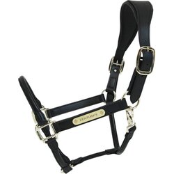 Kentucky Horsewear Usnjena oglavka "Anatomic" - črna Cene