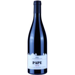 Alvaro Castro pape Cene