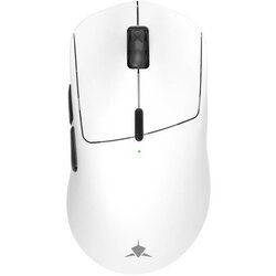 WHITESHARK beli-gaming bežični miš tor w Cene