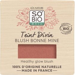 SO’BiO étic Teint Divin Rouge - 01 Bois de rose Cene