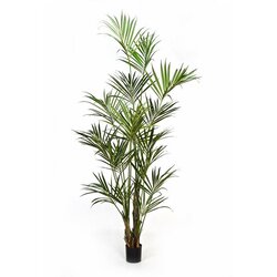 Floraworld Veštačka palma Kencija h275 zelena Cene