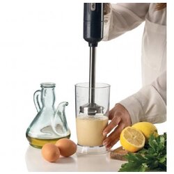 Ariete AR601DG štapni blender Cene