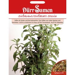 Dürr Samen Sladko zelišče stevia Cene