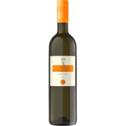 Vinarija Radovanović Belo vino RADOVANOVIĆ Sauvignon blanc 0,75l Cene