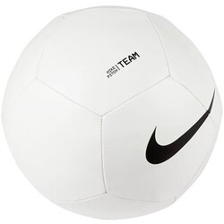 Nike Lopta Pitch Team Cijene