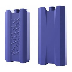 Worts Team Bauer uložak za piknik frižider Cene