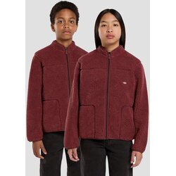 Dickies Mount Hope Kids Jakna iz flisa andorra Cene
