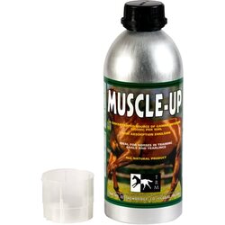 TRM Muscle Up Cene