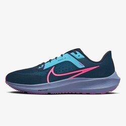 Air zoom pegasus 40 se Cene