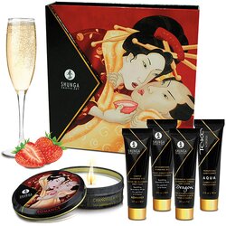 Shunga Erotski Set Geisha&#039;s Secrets Set Cene