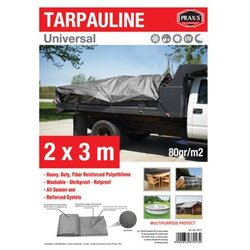 Praxis zaštitna cerada tarpaulin 2x3m 80gr Cene