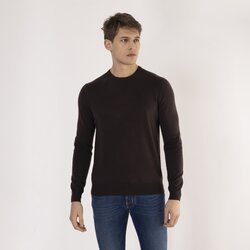 SCERVINO STREET muški džemper braon Cene