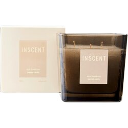 Inscent Dišeča Sveča Zen Bamboo Cene