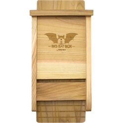 Single Chamber Bat House - cedra Cene