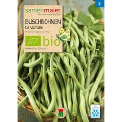 Samen Maier BIO grmičast fižol "La Victoire" Cene