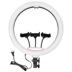  Selfie ring light portable lj45 (precnik 45cm) ( R2312 ) Cene