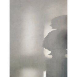 Venture Home poster Human Shadow 30 × 40 cm, sivi Cijene