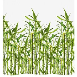 Diaqua Tekstilna kopalniška zavesa Bamboo (Š x V: 120 x 200 cm, Zelena/Bela) Cene