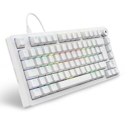 Sharkoon Gaming Tastatur Skiller SGK25 weiß DE" Cene