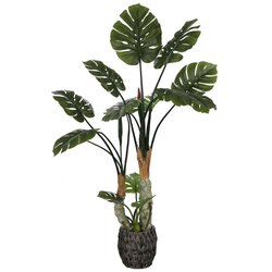 Umjetna Monstera s više stabljika 160 cm Cijene