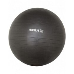 Amila pilates lopta 65cm sa pumpom Cene