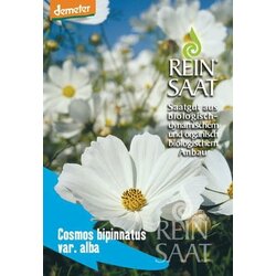 ReinSaat Bio kozmeja, bela Cene