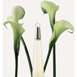 Issey Miyake L´Eau D´Issey toaletna voda 50 ml za ženske Cene