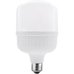 ACA Lighting Apostolidis LED SIJALICA E27 P99 28W CW 6500K IP65 ACALIGHT Cene