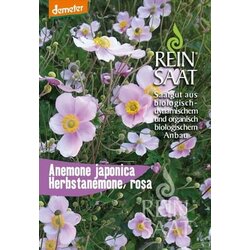 ReinSaat Bio japonska anemona Cene
