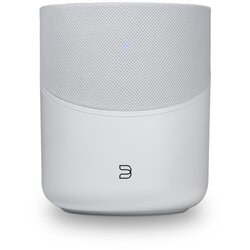 BLUESOUND PULSE M WHT Cene