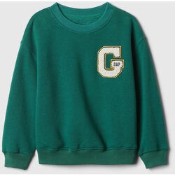GAP Baby sweatshirt - Boys Cijene