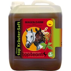 Topteam top - Zeliščni sok za gastrointestinalni sistem Cene