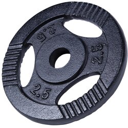 Gorilla Sports disk 2.5kg 30mm crni Cene