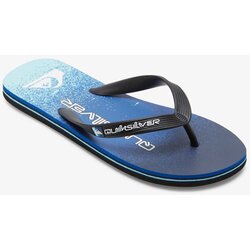 Quiksilver Men's flip-flops MOLOKAI ART Cene