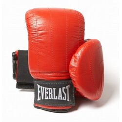 Everlast Rukavice za boks Boston Cene