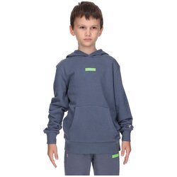 Champion Dukserica Basic Cene