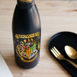 Grupo Erik Editores S. L. Hogwarts Boca od Nehrđajućeg Čelika 500ml Cene