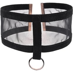 Sex & Mischief Sheer Day Collar Cene