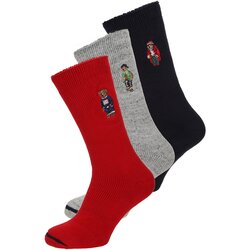 Polo Ralph Lauren Čarape noćno plava / svijetlosmeđa / siva melange / crvena Cijene